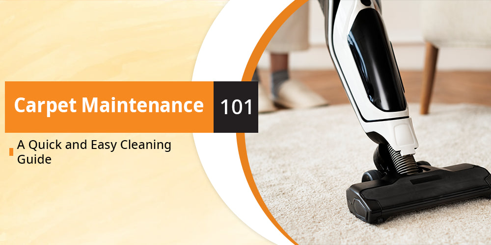 Carpet Maintenance 101: A Quick and Easy Cleaning Guide